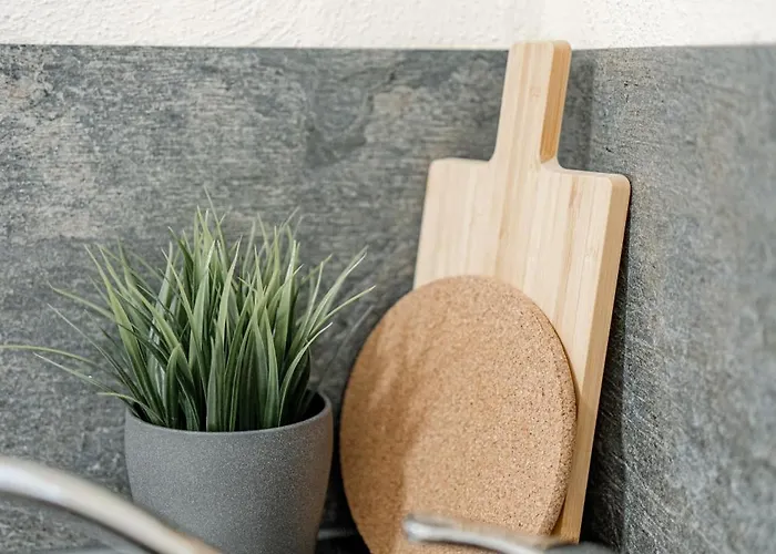 Elisa 招待所 巴特腓特烈斯哈尔