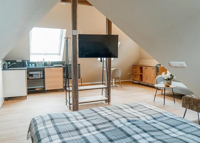 招待所 Elisa 巴特腓特烈斯哈尔