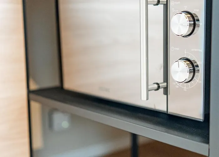 Elisa 巴特腓特烈斯哈尔