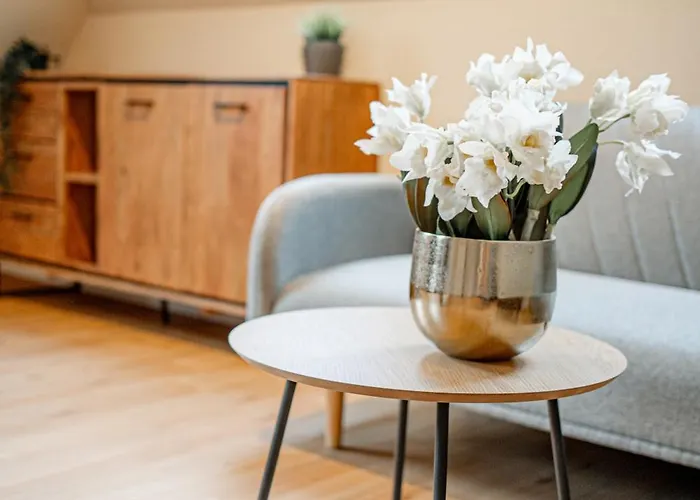 招待所 Elisa 巴特腓特烈斯哈尔